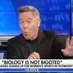 Greg Gutfeld says Democrats will start a civil war over gender-affirming child care 'like you did with slavery' (VIDEO)